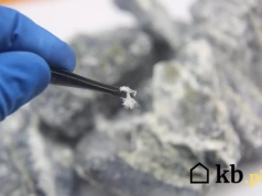 Masz azbest na działce? Rząd szykuje ważną zmianę dla właścicieli domów