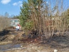 50-latek zginął w ogniu. Wypalał trawy