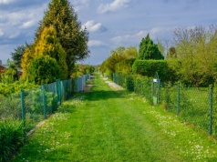 Własna działka w ROD: Jak zostać działkowcem w 2026 roku?