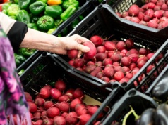 Kiedy pierwsze polskie nowalijki? Ekspert zdradza prawdę