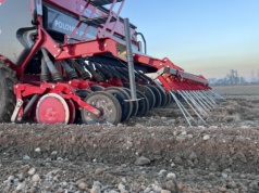 Udany siew zbóż jarych. Te parametry mają znaczenie