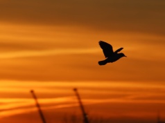 Po ciepłym piątku zmiana w pogodzie. Prognoza na sobotę 14 marca