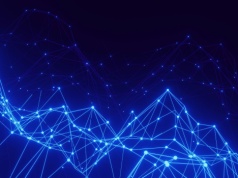 Cyfrowy mózg muszki uruchomiony w symulacji. Naukowcy odtworzyli konektom neuron po neuronie