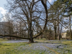 Jaka pogoda w weekend? Sobota pod znakiem słońca i nawet 19 st. C, później pojawi się deszcz