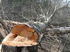 Ruszyły prace przy obwodnicy. Wiemy, kiedy pojadą nią samochody