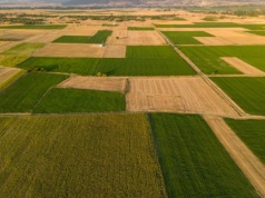 Ponad 6 tysięcy hektarów gruntów rolnych na sprzedaż w trzech województwach