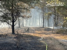 Duże pożary łąk i lasów. W akcji kilkadziesiąt zastępów straży pożarnej!