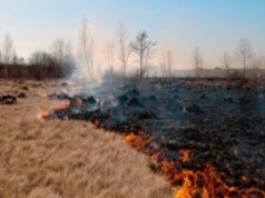 25 hektarów w ogniu. Dramatyczna walka z pożarem lasu i łąk