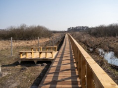 Można już spacerować po torfowiskach w Łęcznej. Ścieżka obejmuje naturalną dolinę Wieprza