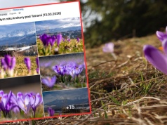 Wybrała się na Podhale. Pokazała, co udało się jej znaleźć. "Pierwsze w tym roku"