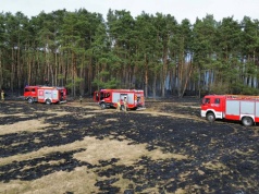 Spłonęło 12 hektarów nieużytków i lasu