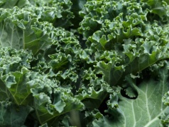 Uderzą w tłuszcz, rozkręcą metabolizm. Lekarka podała listę