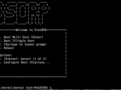 BSD Router Project 2.1