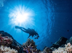 Dlaczego morze jest niebieskie? Odkrywamy największą tajemnicę oceanów