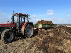 Ceny obornika w marcu 2026 r. Kiedy można go stosować?
