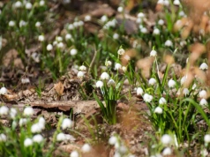 Tylko trzy weekendy, by zobaczyć piękne miejsce w Polsce. „Fenomen”