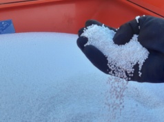 Nawożenie ozimin musi być dopasowane do stanu plantacji