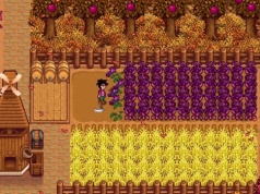 Gracz Stardew Valley zadał sobie wielki trud, by na własnej skórze przekonać się, że jego wielkie marzenie jest niemożliwe do spełnienia