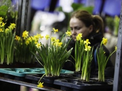 Festiwal roślin ponownie zawitał do Kielc