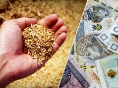Niskie ceny zbóż dobijają rolników. Walczą o skup interwencyjny po 230 euro/t