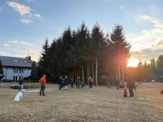 Wyszkolone psy na tropie padłych dzików