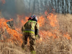 Ponad 1400 pożarów traw w jeden weekend. Strażacy apelują o rozsądek