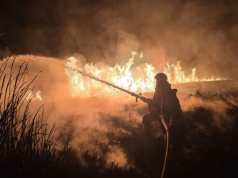 Trawy w ogniu. Strażacy z Podkarpacia interweniowali setki razy w jeden weekend