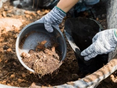 Nie ruszaj kompostu w ciemno. Jeden prosty test pokaże, czy jest już gotowy na wiosnę