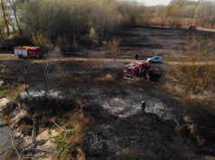 Wraca groźny proceder. Właściciele posesji mogą zapłacić do 30 tys. zł kary