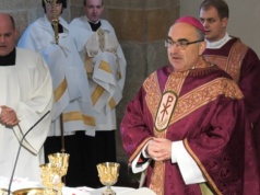 Spór wśród biskupów Austrii. Hierarcha broni celibatu przed metropolitą Wiednia