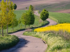 Termin mija już dziś, inaczej kara od 5 tys. zł do nawet 1 mln zł. Kluczowy próg to 75 ha