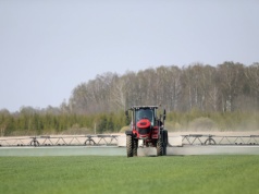 Gavial 375 SC – gotowa mieszanina do oprysku na opadanie płatka w rzepaku