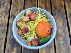 Popiół drzewny w ogrodzie: jak i co nawozić. Czy poprawia strukturę gleby?