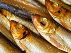 W Niemczech hit, w Polsce mało kto je. Jedna z najzdrowszych ryb