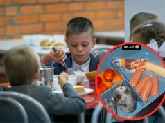 Mieszka w Holandii i pokazuje szkolną śniadaniowkę. "Ciekawe, do czego dziś przyczepią się nauczyciele"