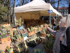 XXVII Dni Kultury Kresowej i Wielki Jarmark Kaziukowy w Białymstoku (Fotoreportaż)