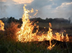 Czarna seria na polach w Łódzkiem. Strażacy mają pełne ręce roboty