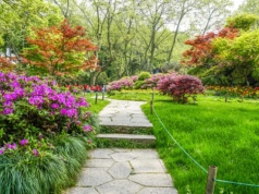 Wiosna w ogrodzie: jak bez mandatu usuwać drzewa i krzewy!