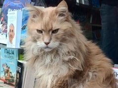 Był ulubieńcem warszawiaków. "Nasz przyjaciel odszedł"