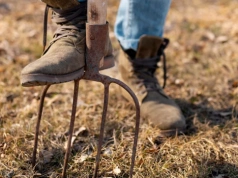 Nie przekopuj grządek na wiosnę. Ten jeden zabieg sprawi, że ziemia będzie żyzna przez cały sezon