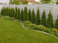 Absolutny zakaz na każdej działce. Grozi 500 zł mandatu