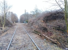 Powrót kolei za 700 milionów?