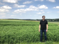 Jak sprawdzić, czy łąka przetrwała zimę? Ekspert radzi