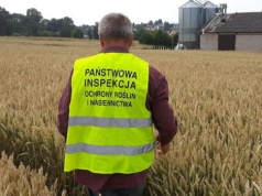 PIORiN zaczyna sezon kontroli. O czym muszą pamiętać producenci?