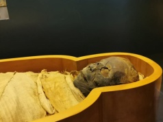 Naukowcy wąchają mumie. Odkryli sekret sprzed 2 tysięcy lat