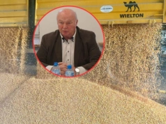 Tanie zboże dobija rolników. Chcą 230 euro za tonę