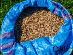 Pellet przestał się opłacać. Oni wybrali tańszy zamiennik