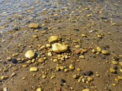 Polskie rzeki skrywają złoto od wieków. Dziś znowu przyciągają chętnych