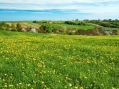 Rytuały na pierwszy dzień wiosny. Wierzono, że przynoszą szczęście