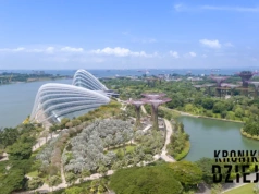 Czterolatka przestała pojawiać się w przedszkolu. Nikt nie wiedział dlaczego